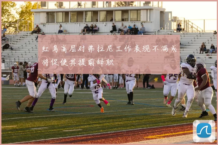 红鸟高层对弗拉尼工作表现不满或将促使其提前辞职